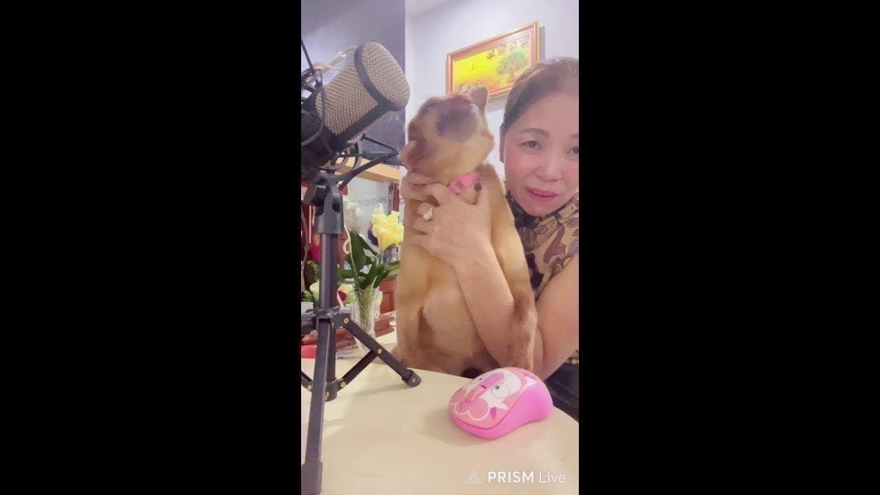 hát cùng hai mẹ con bé Thương