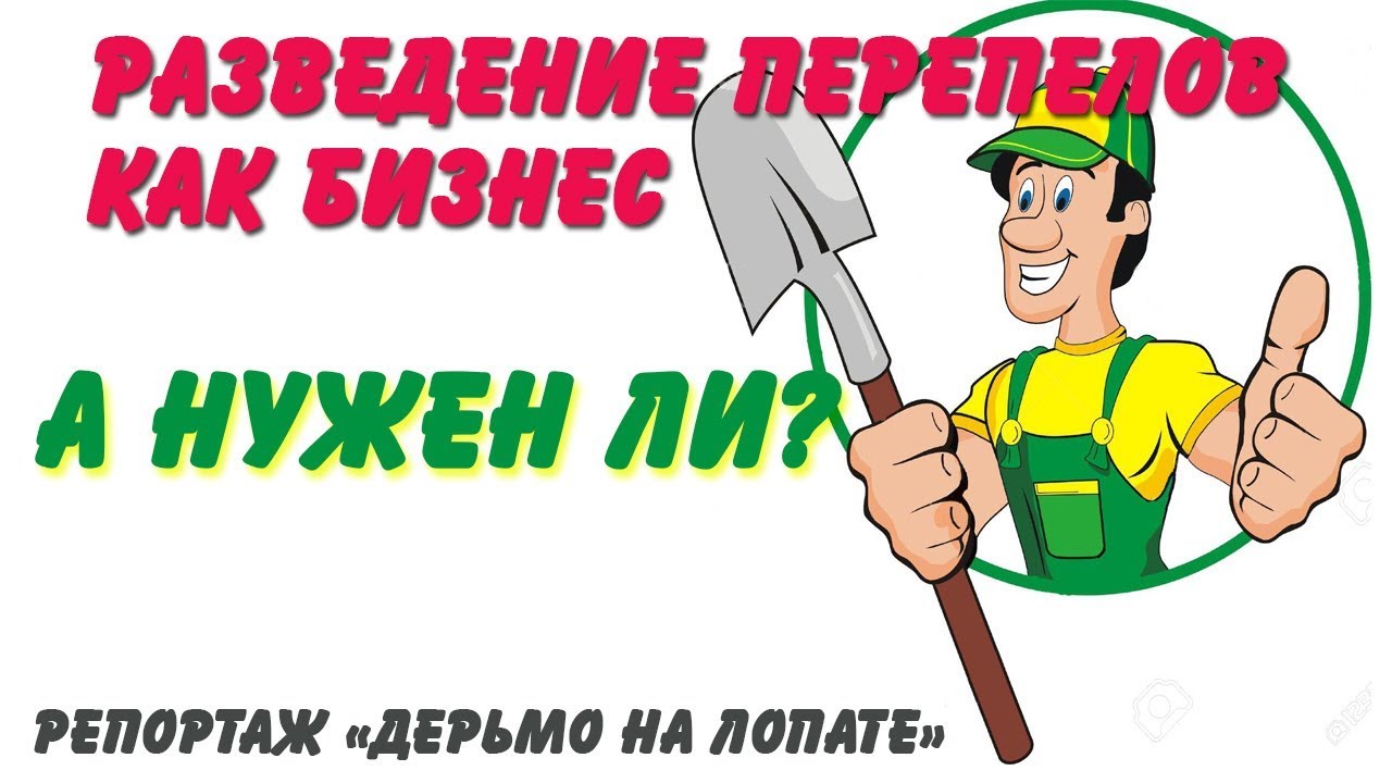 Разведение перепелов как бизнес. А нужен ли такой?