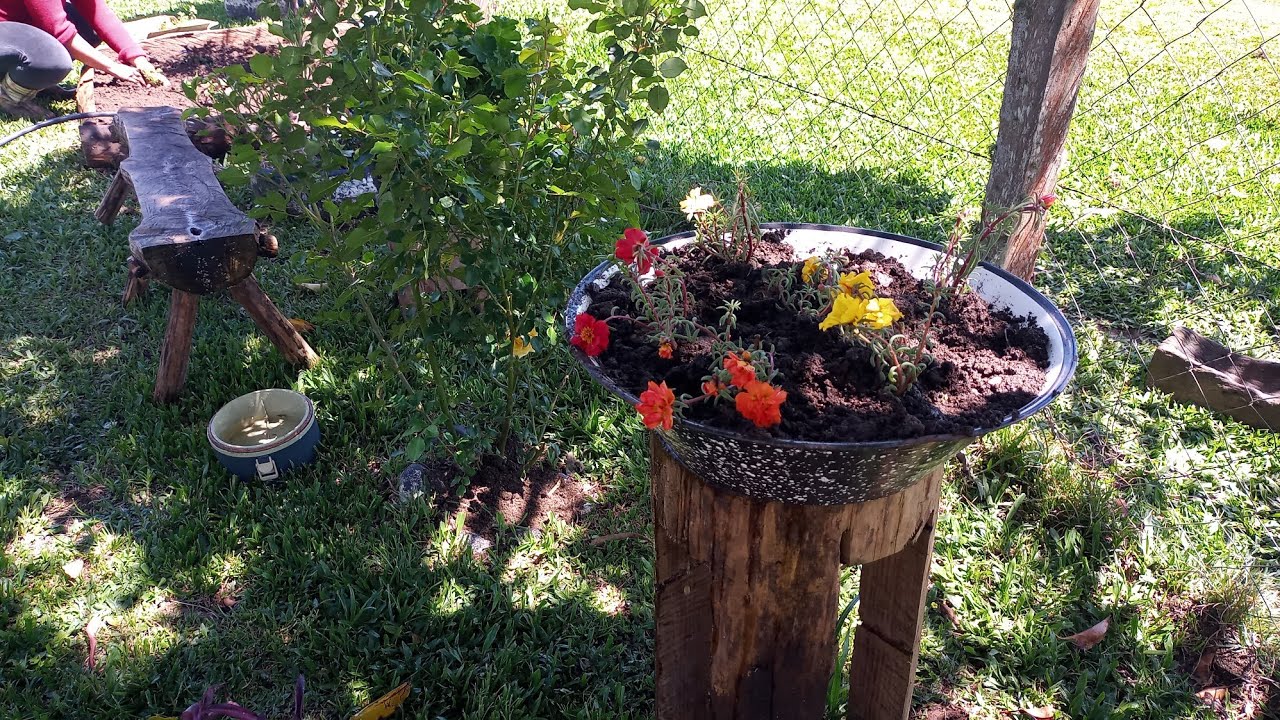 ENSINANDO COMO RECICLAR BACIA VELHA PLANTANDO ONZE HORAS