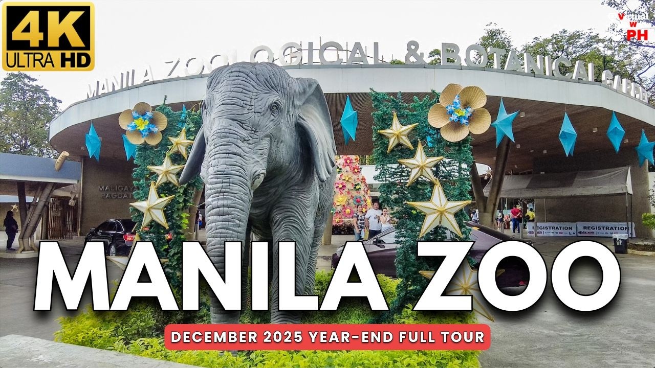 [4K] MANILA ZOO YEAR-END FULL TOUR 2025 | Less Crowded Afternoon Walk + Animals & Nature