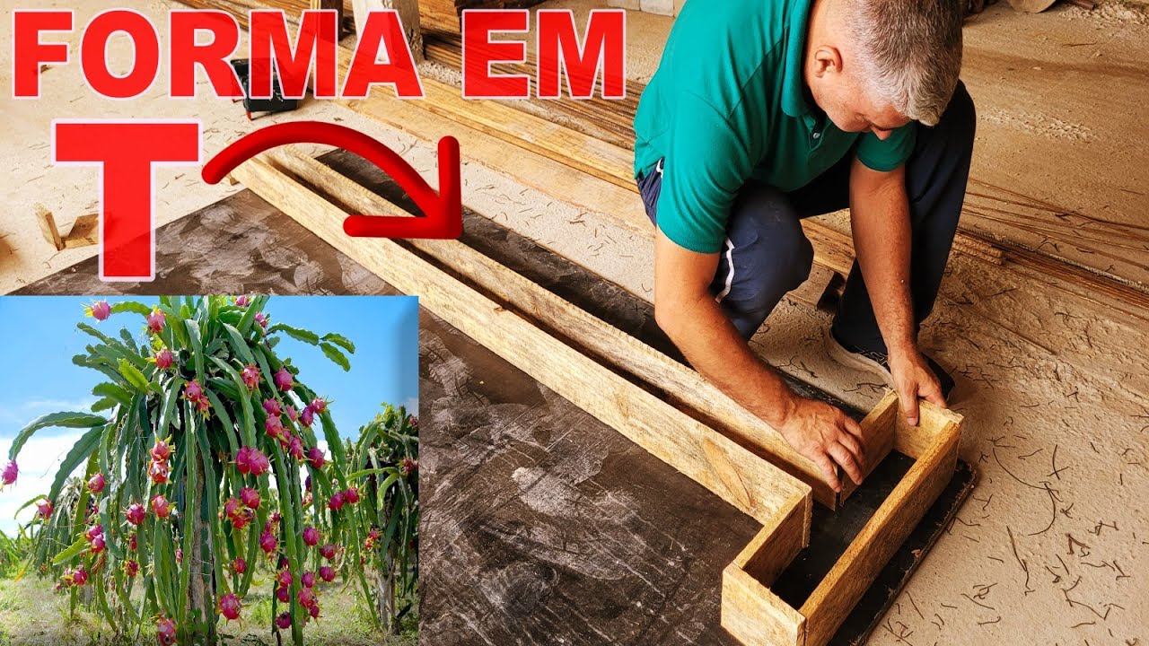 💥FORMA PARA MOURÃO DE #PITAYA  EM FORMA DE T ( PASSO A PASSO ) FAÇA VOCÊ MESMO GASTANDO POUCO!! 🌵👍