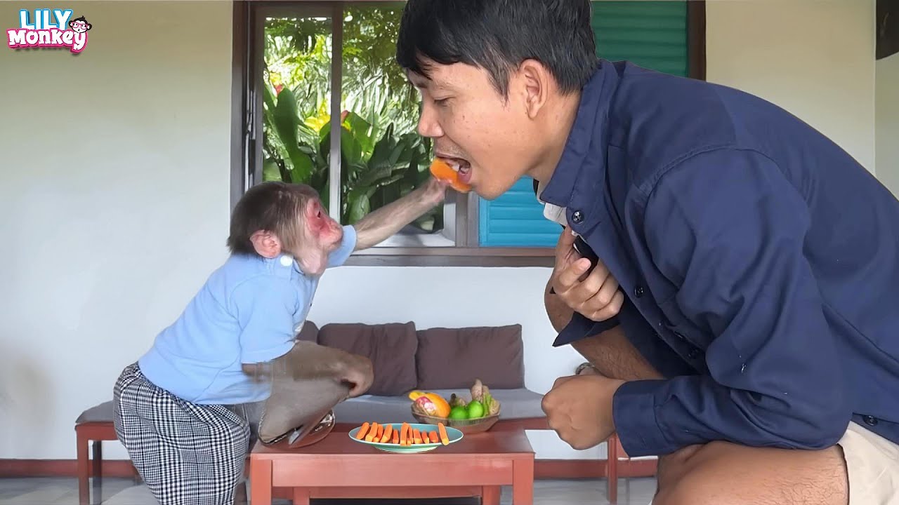 Lily's really looking forward to having a meal with dad | Lily's story