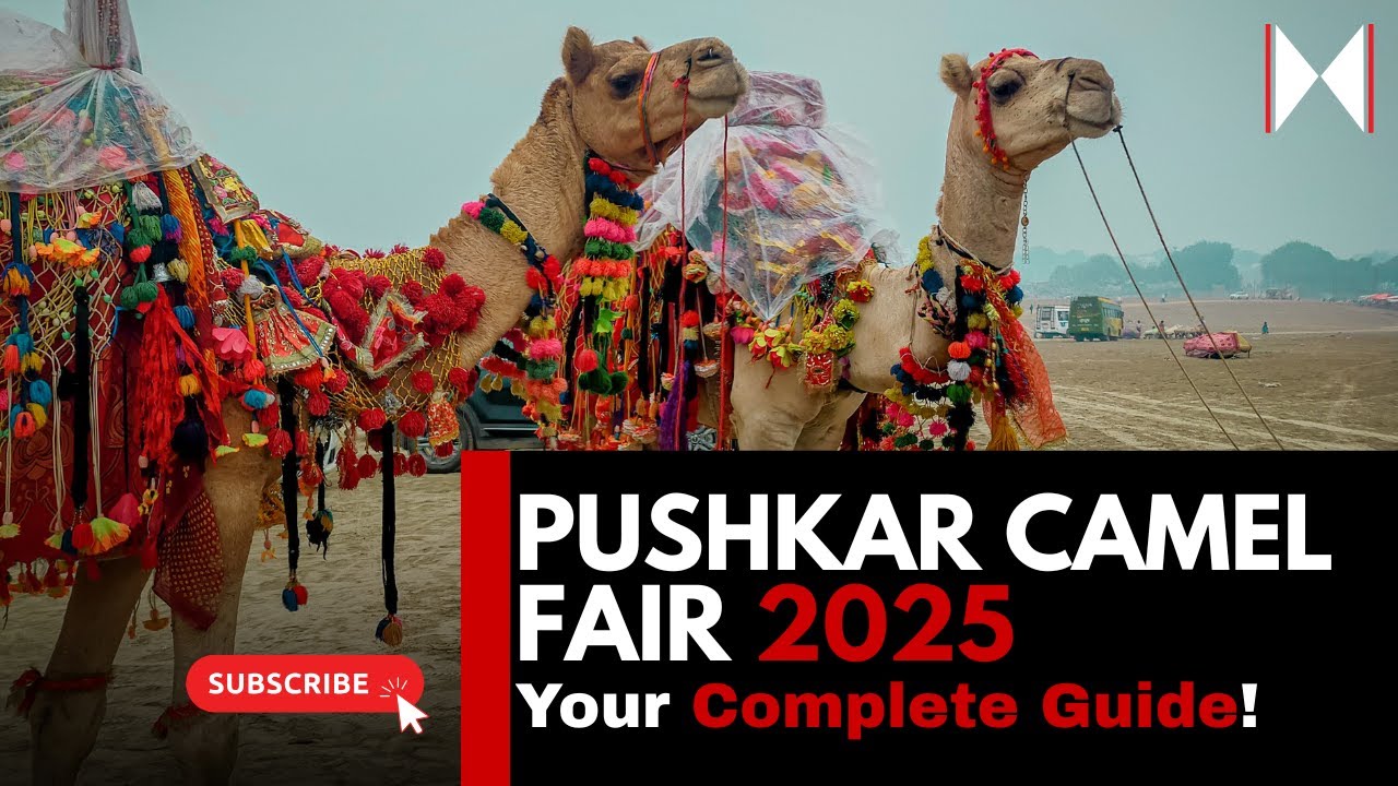 🐪 Pushkar Camel Fair 2025 – Your Complete Guide! 🎡✨