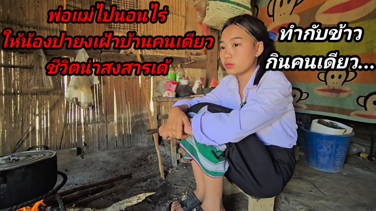 น้องปายงเฝ้าบ้านคนเดียว พ่อแม่ไปนอนไร่...13 กุมภาพันธ์ ค.ศ. 2026