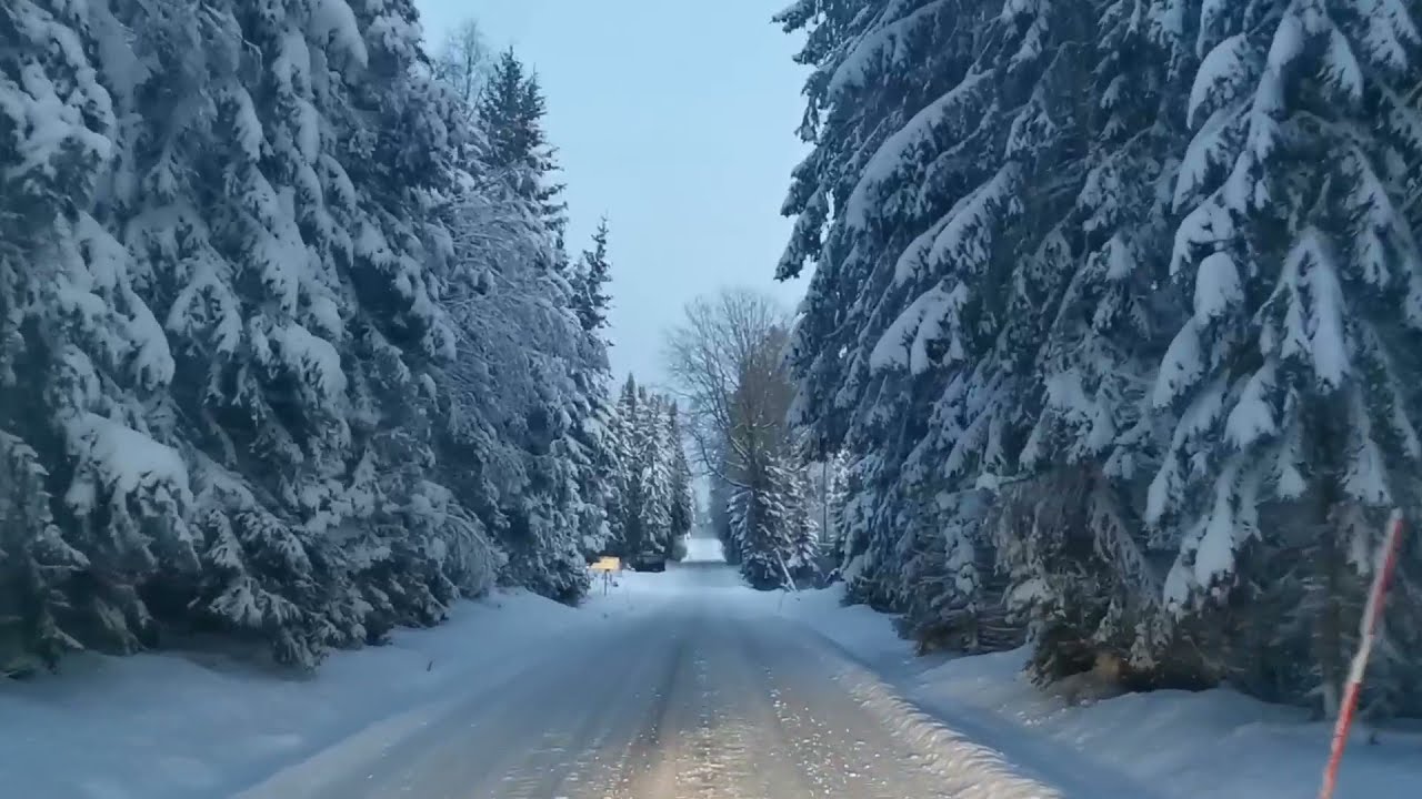 Winter klussen in Zweden || Mijn off-grid boerderij VLOG 27