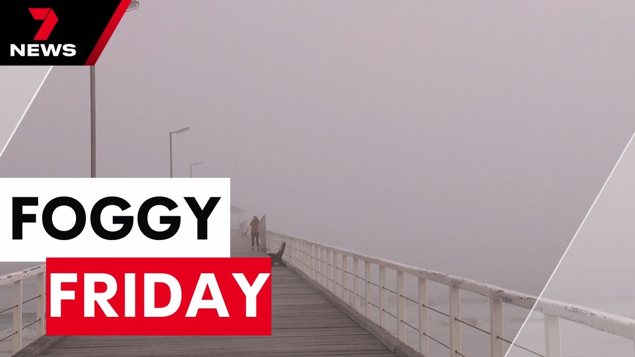 Dense fog blankets Adelaide, impacts flights | 7NEWS