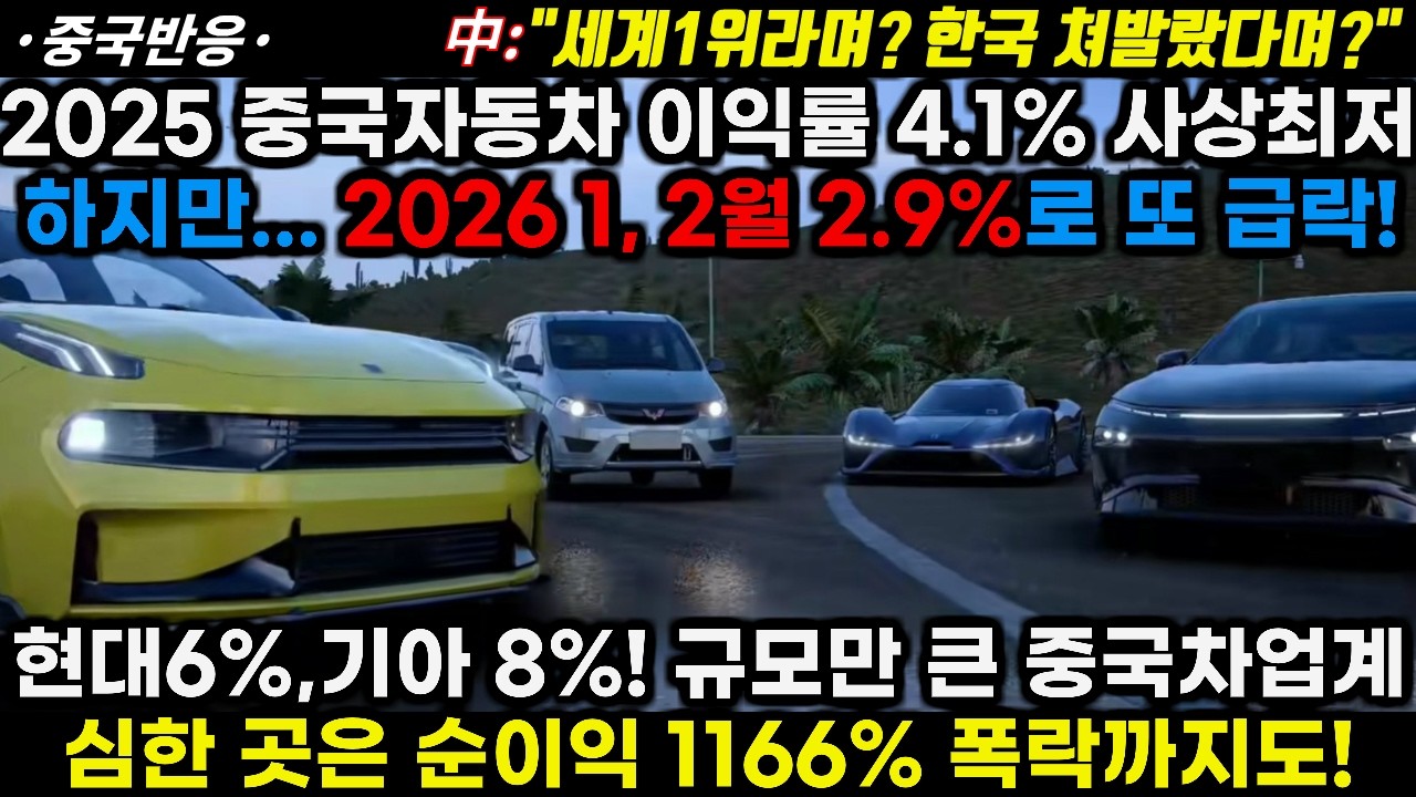 |중국반응|작년 중국자동차 이익률 4.1% 사상최저 올해는 2.9%로 신기록 경신! 현대6% 기아8%! 규모만 큰 중국기업 심한 곳은 1166% 하락도!