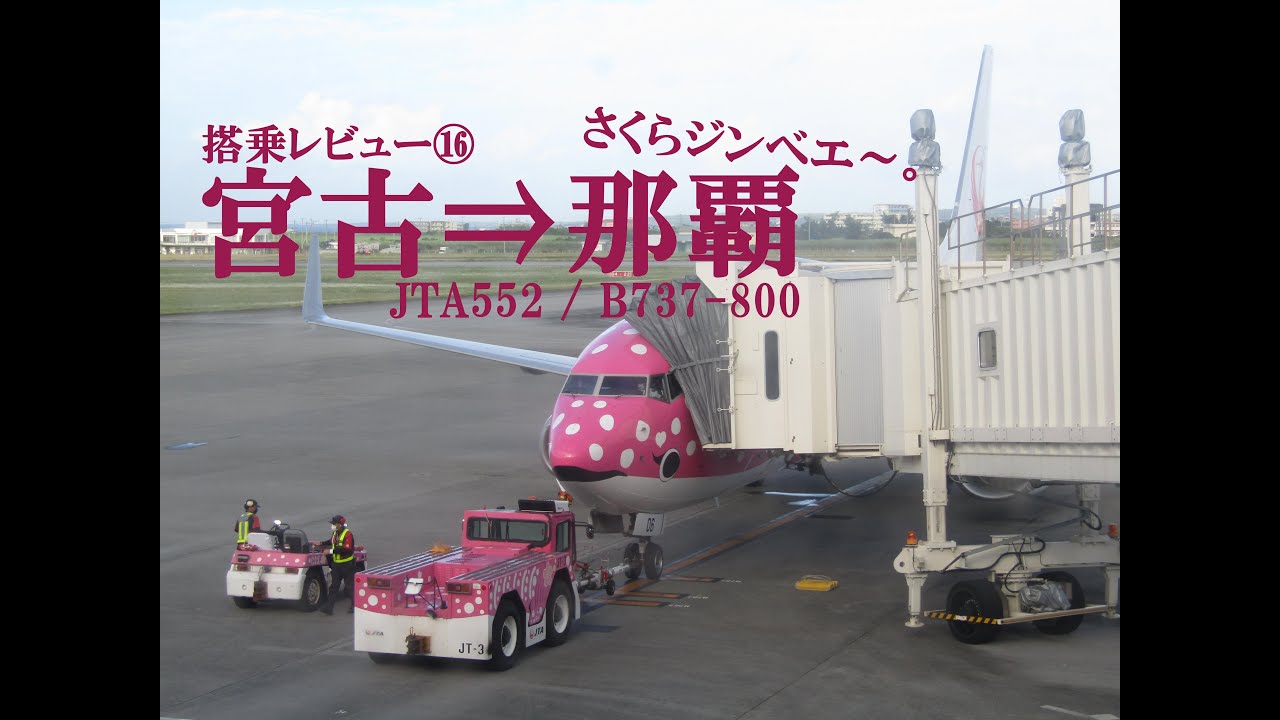 016【さくらジンベエ一色。】日本トランスオーシャン航空552便　宮古&rarr;沖縄那覇　搭乗レビュー