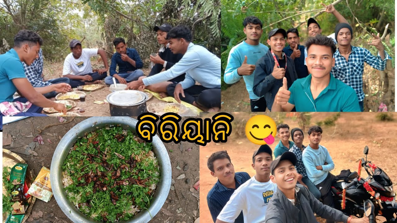 DAY 52(ବିରିୟାନି 😋ପାର୍ଟି)#viral #odiavlog 365 Dally vlogging challenge for improving spoken skills 