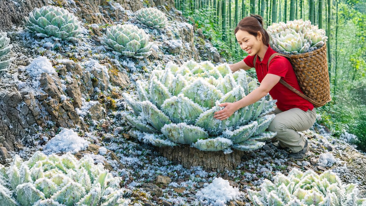 Harvesting Icy Artichokes on Everest Summit | Rare Superfood Sold Out Fast at Village Market