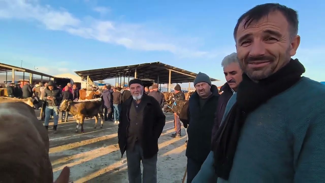 ÇORUM SUNGURLU HAYVAN PAZARI 12 ŞUBAT ÇEKİMİ 2.BÖLÜM 14 ŞUBAT 2026