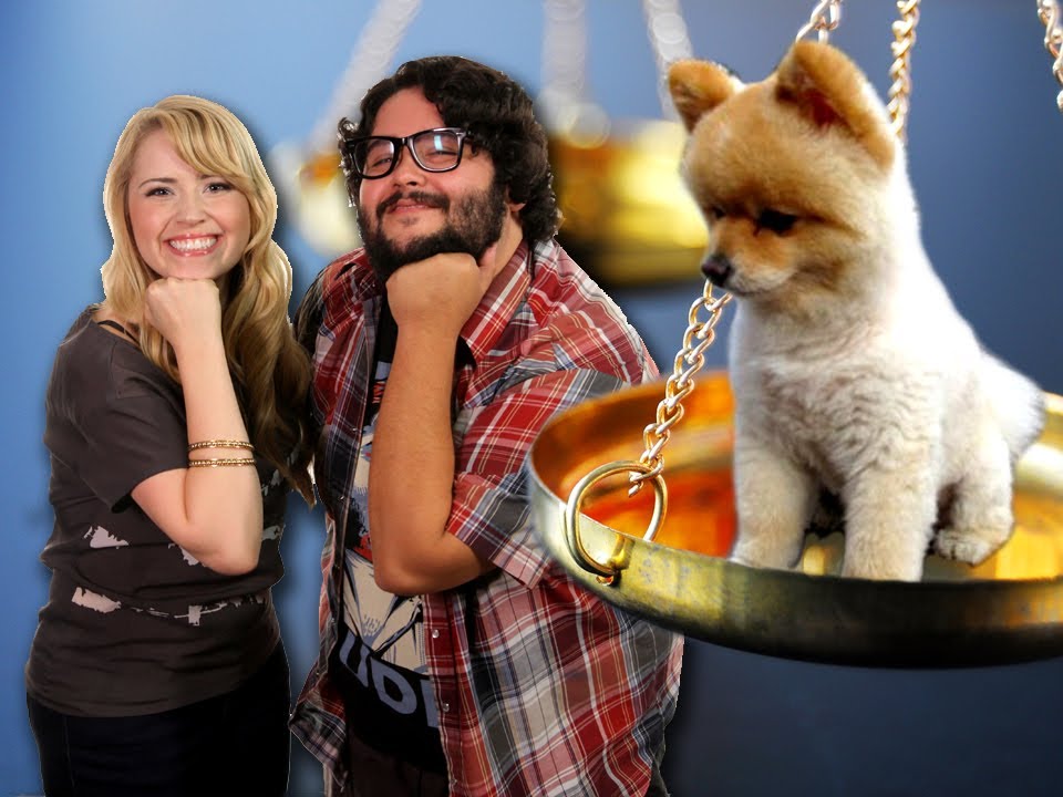 $500,000 PUPPY BATTLE!