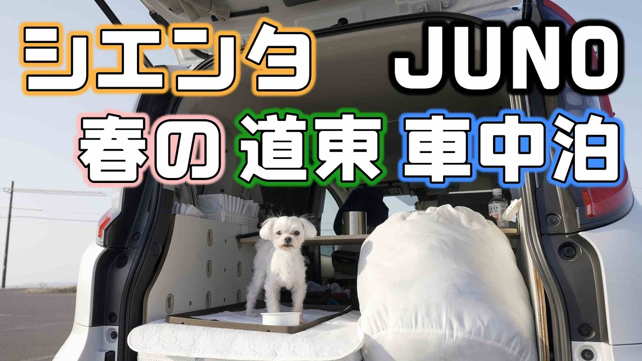 春の道東車中泊【シエンタ】犬を連れて春の開陽台と野付半島へ