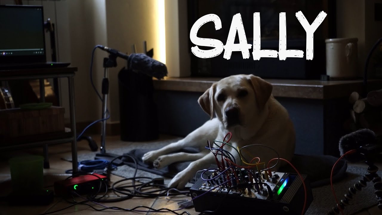 SALLY - Saul Palermo EP - Music made by a labrador!
