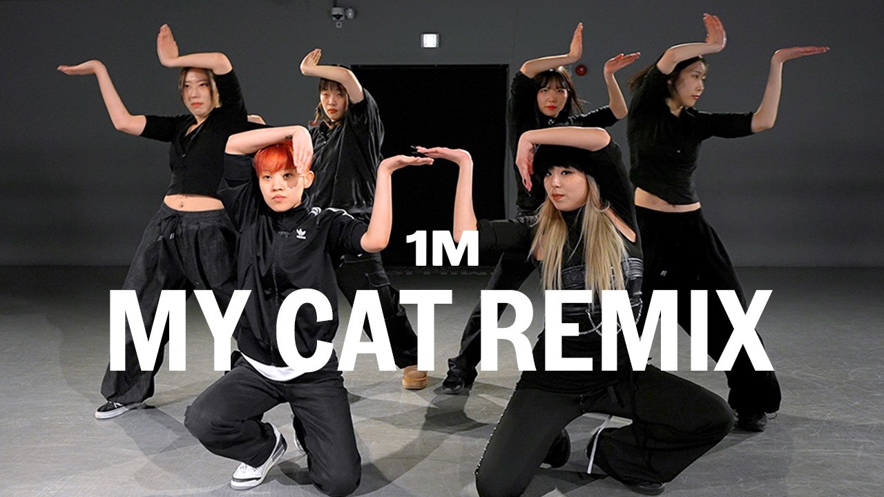 My cat Remix / Master Class / @Hyeyeon
