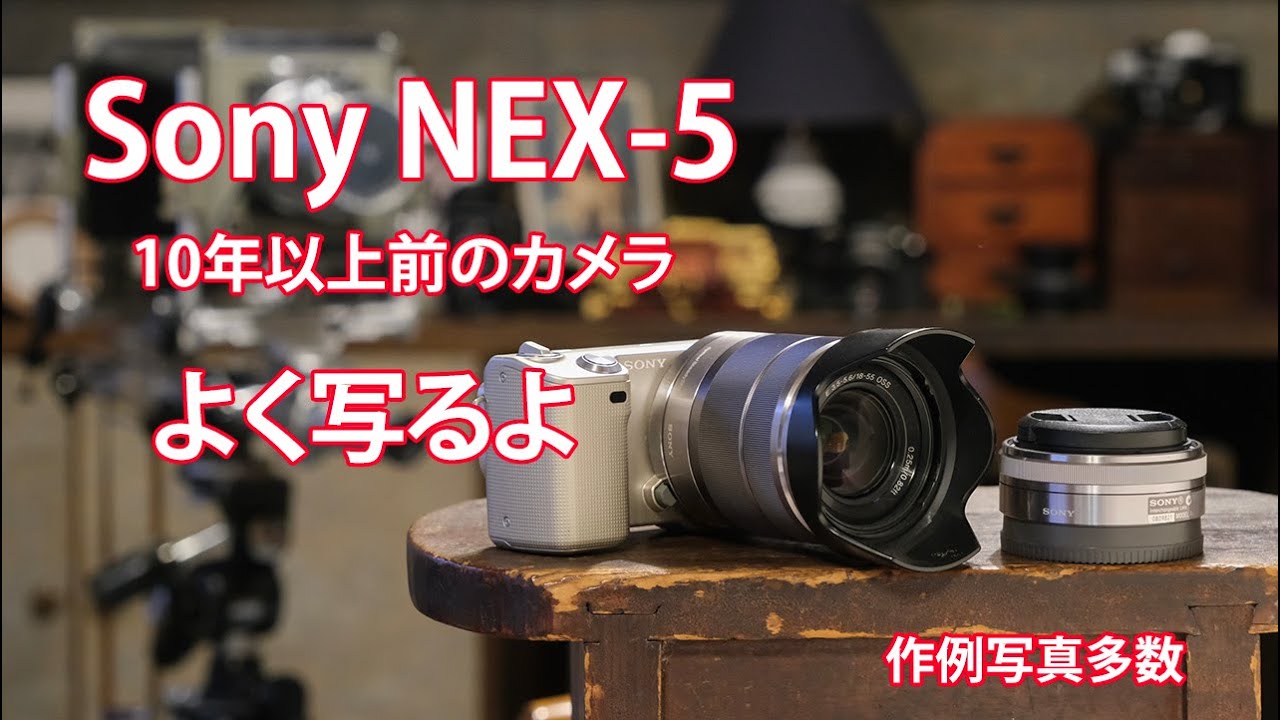 Sony NEX-5. 10年以上目のカメラ。