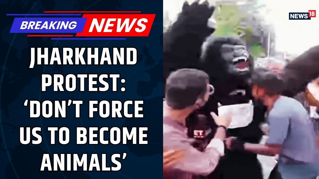 Jharkhand Protest News: Students Push Police Barricades | Gorilla Costume Protest Over CGL Exam