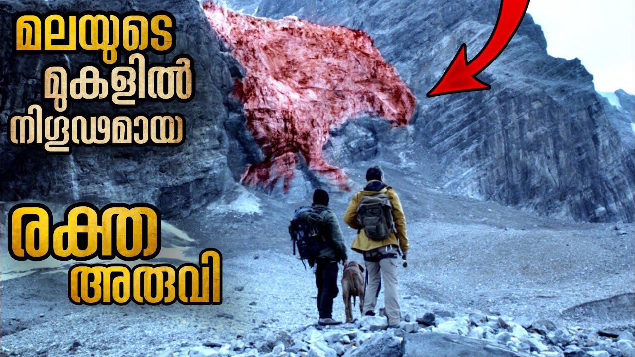 മലയിലെ രക്ത ജീവികളും ഒട്ടും പ്രതീക്ഷിക്കാത്ത ക്ലൈമാക്സും @malluexplainer185