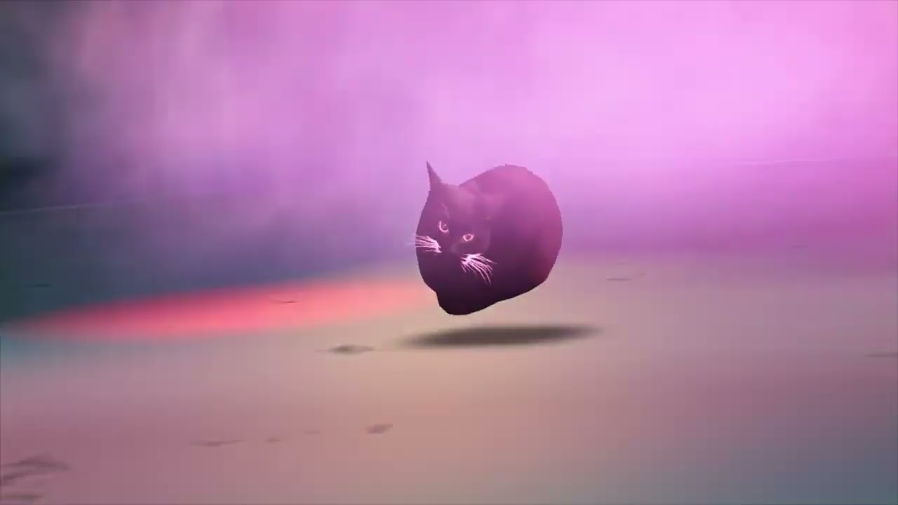 Preview 2 Maxwell Cat x Bloody Mary Wednesday Dance