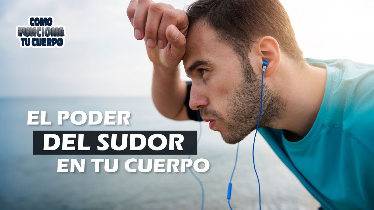 &iquest;Sab&iacute;as que el #sudor Tiene #secretos por #descubrir ? 💦