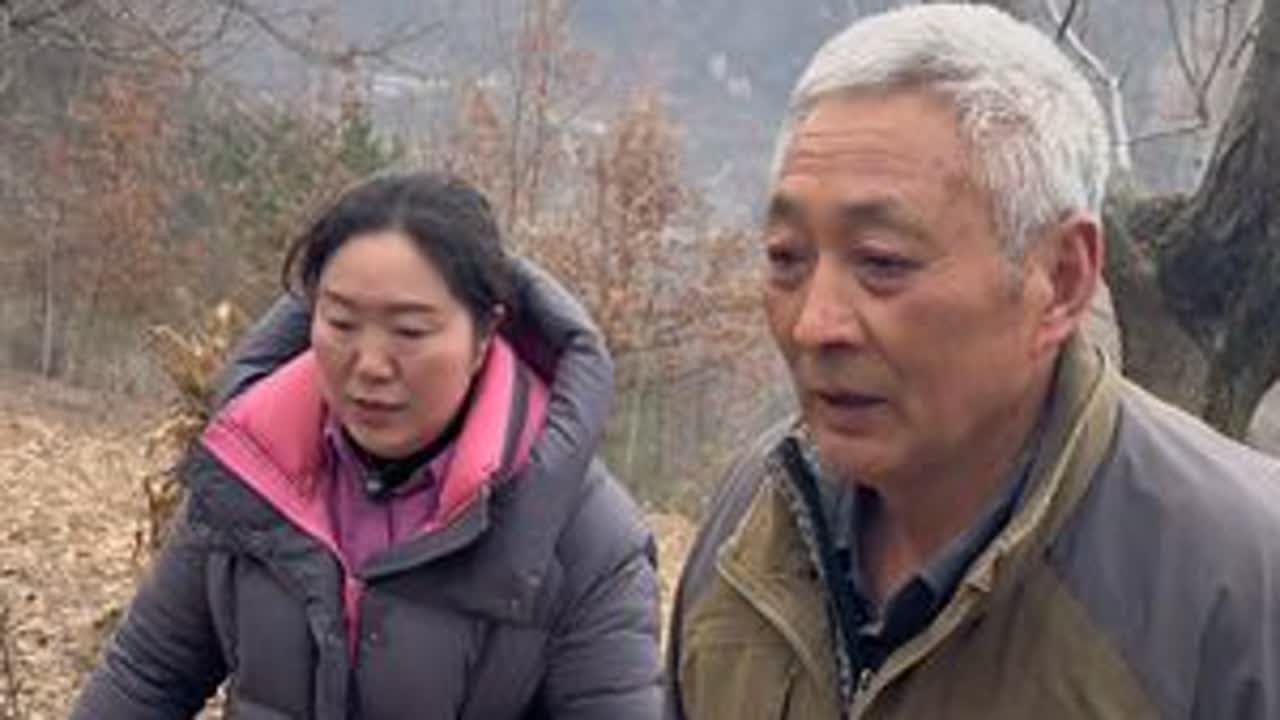 家人们谁懂！在高山上捡土鸡蛋根本停不下来。鸡随性下蛋，位置千奇百怪。我得各种姿势搜寻，蹲下、跪地，在草丛、鸡圈旮旯“寻宝” ，摸到沾满泥土带着余温的鸡蛋，纯天然绿色收获，幸福感瞬间拉满，是我近期...