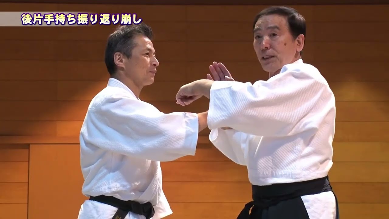 技をかける基本である大東流合気上げ合気下げ完全マスター／大東流合気柔術の極意～一瞬で相手を無力化する合気の教科書～