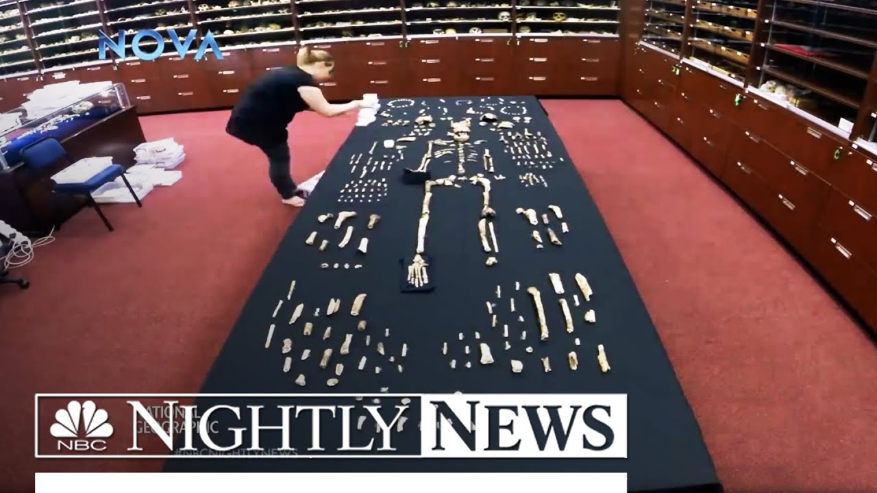 Epic Pre-Human Discovery: Meet the Distant Cousins We Never Knew We Had | NBC Nightly News