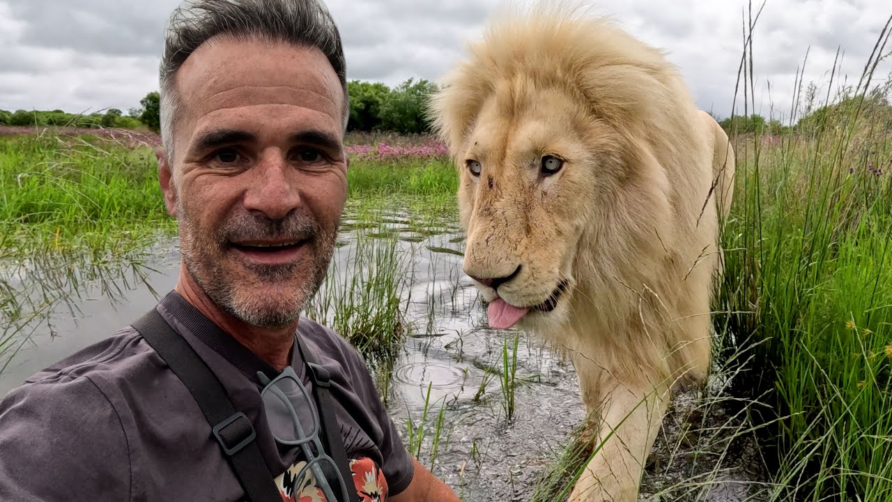 LIONS Believe I'm Part of the Pride | The Lion Whisperer