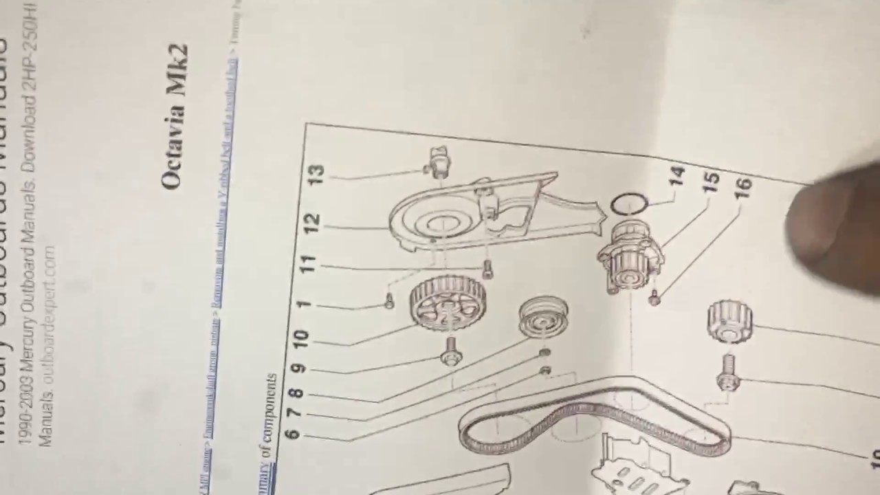تغير سير كاتينة  اسكودا اوكتافيا