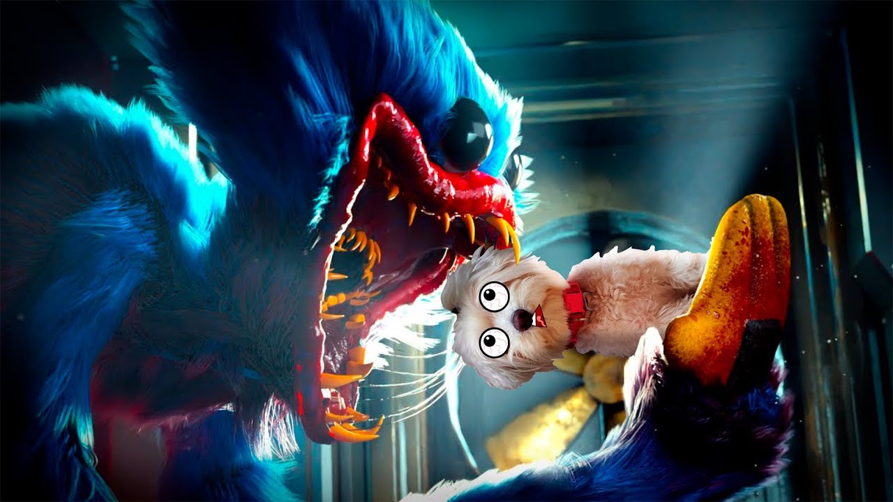 Mi PERRO se Enfrenta a los MONSTRUOS de POPPY PLAYTIME 3 en la VIDA REAL !!