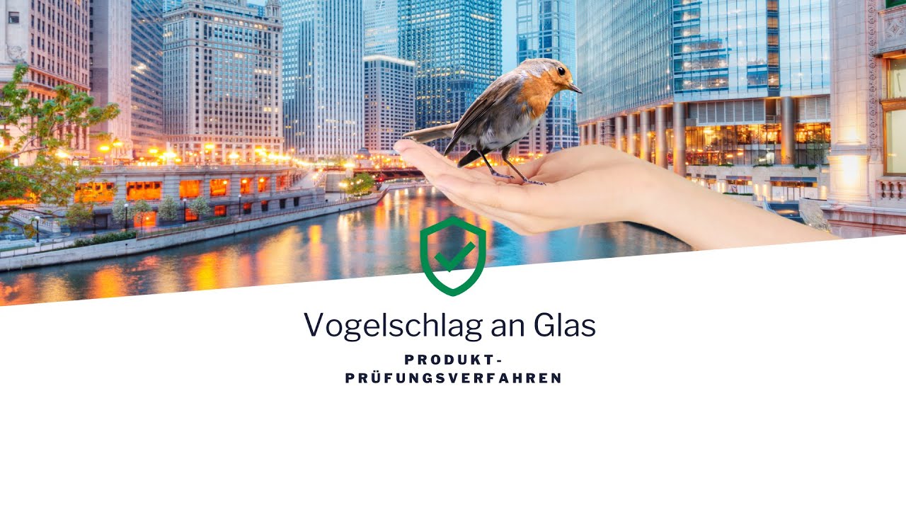 Produktprüfungsverfahren YouTube