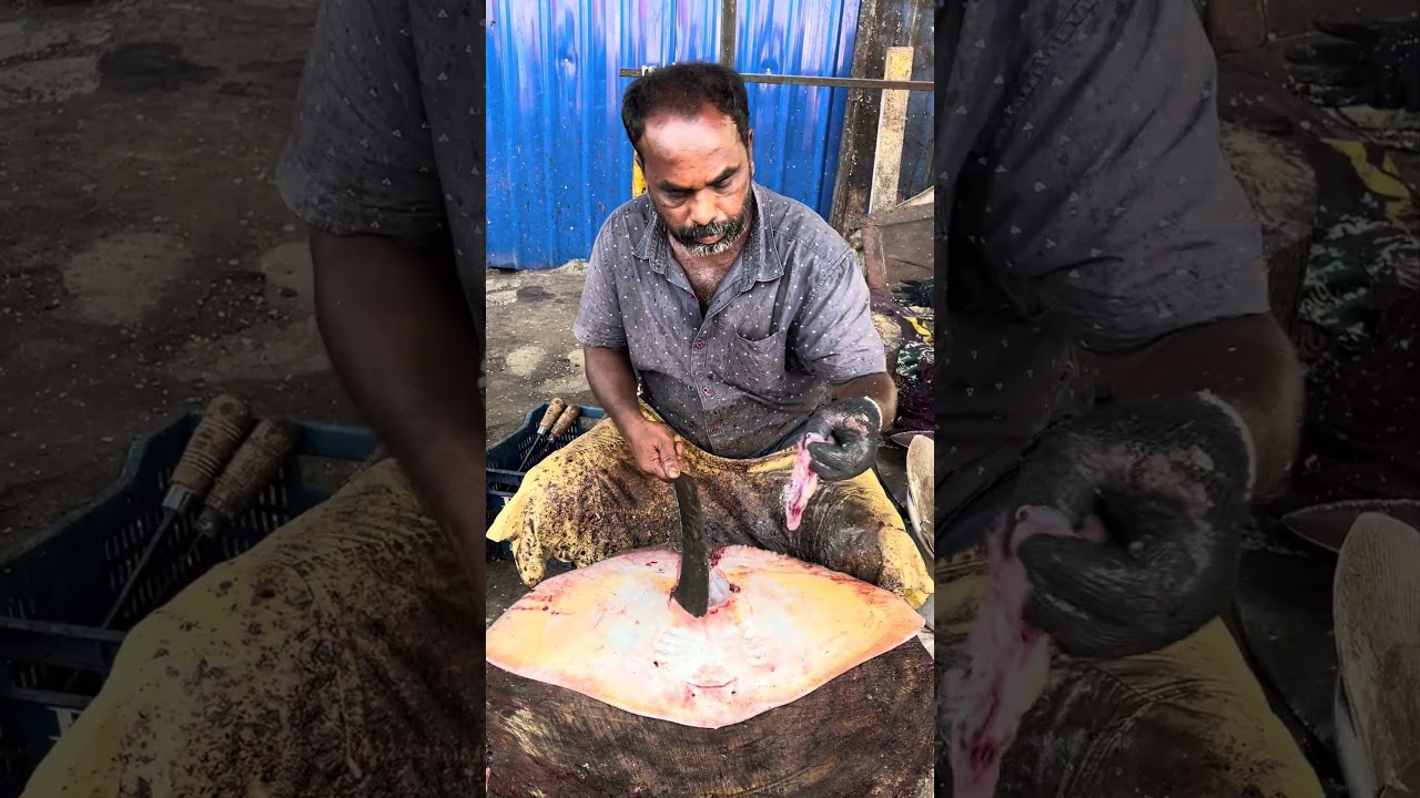 KASIMEDU⚡️STING RAY FISHCUTTING🐠🔥 #kasimedu #fishcutting #skills #seafood #fishing #vmfishcutting