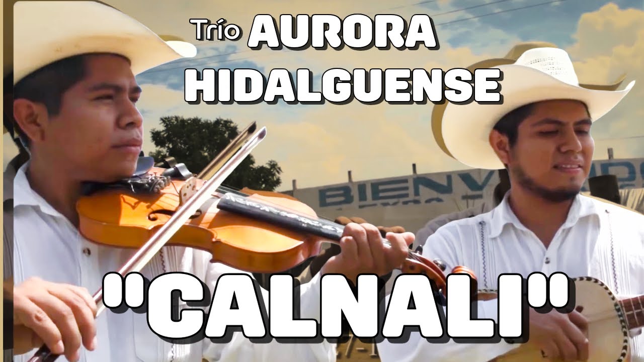 🔥Un bonito Huapango a Calnali. 