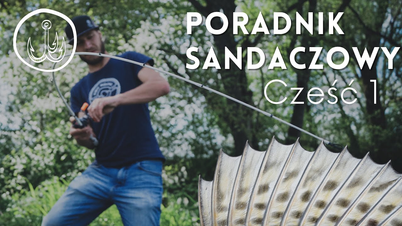 Jak złowić sandacza▪️ Wszystko o łowieniu sandaczy Część 1