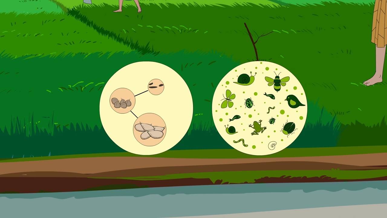 Protection of Natural Habitat