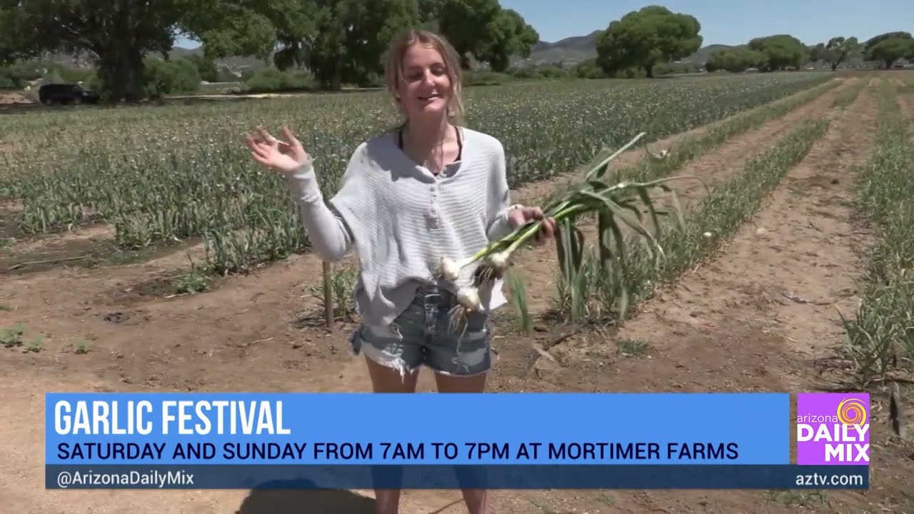 We Get a Preview of the Garlic Festival & Harvest at Mortimer Farms