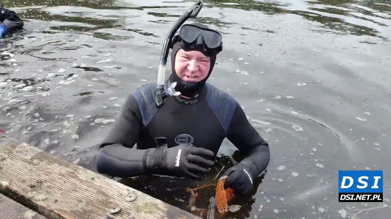 Dzięki nim rzeka Drawa na tym odcinku jest trochę czystsza