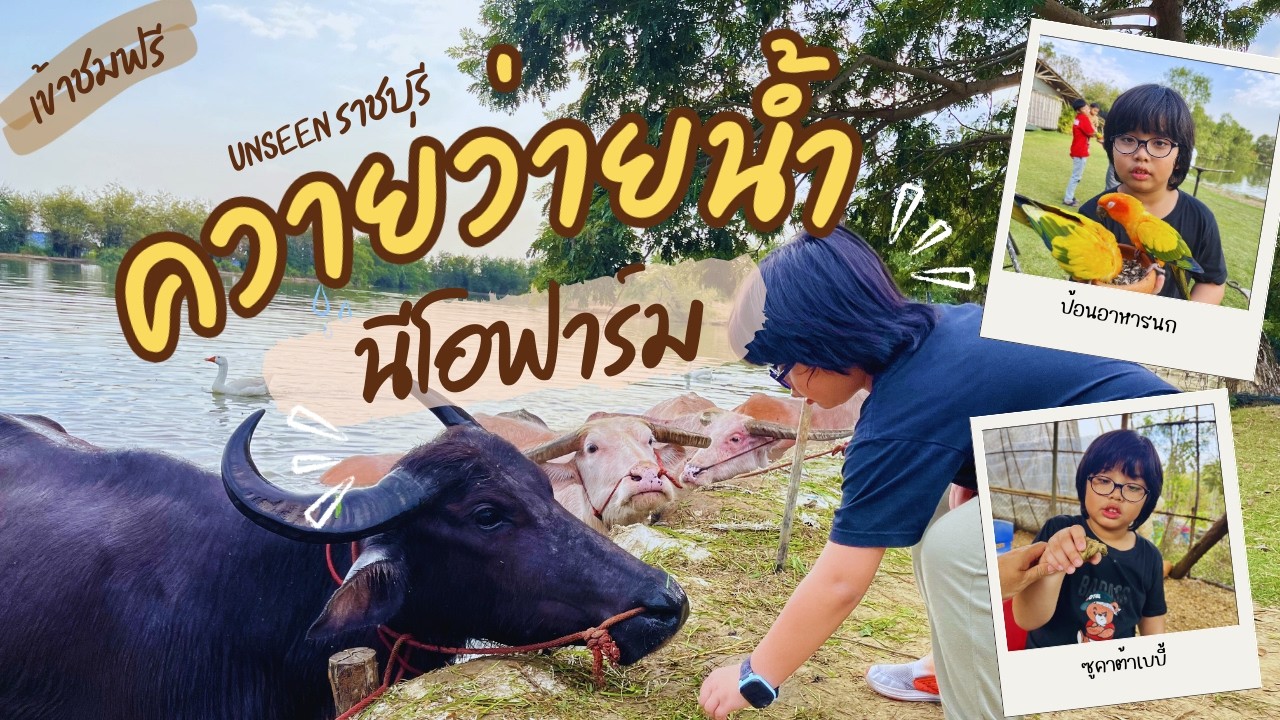 พาเด็กเที่ยว Neo Farm สัมผัสชีวิตฟาร์มสุดคิวท์: พาเหรดเป็ด กระต่าย และไฮไลท์ควายว่ายน้ำ!