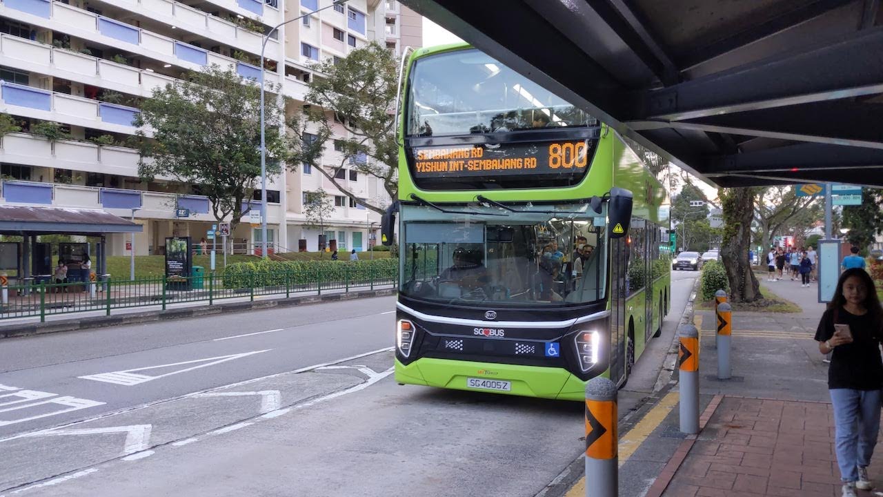 BYD K9RC (Gemilang Coachworks) #SG4005Z [🚍800] - SBS Transit