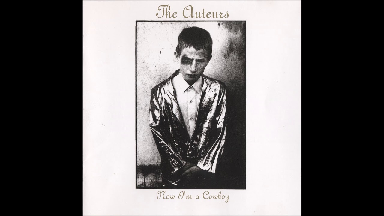 The Auteurs - I'm A Rich Man's Toy