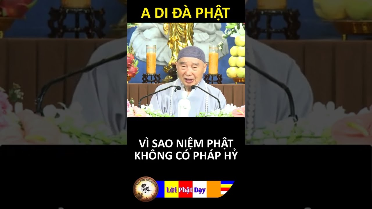 V&Igrave; SAO NIỆM PHẬT KH&Ocirc;NG C&Oacute; PH&Aacute;P HỶ? Ph&aacute;p Sư Tịnh Kh&ocirc;ng | Phật Ph&aacute;p Nhiệm M&agrave;u
