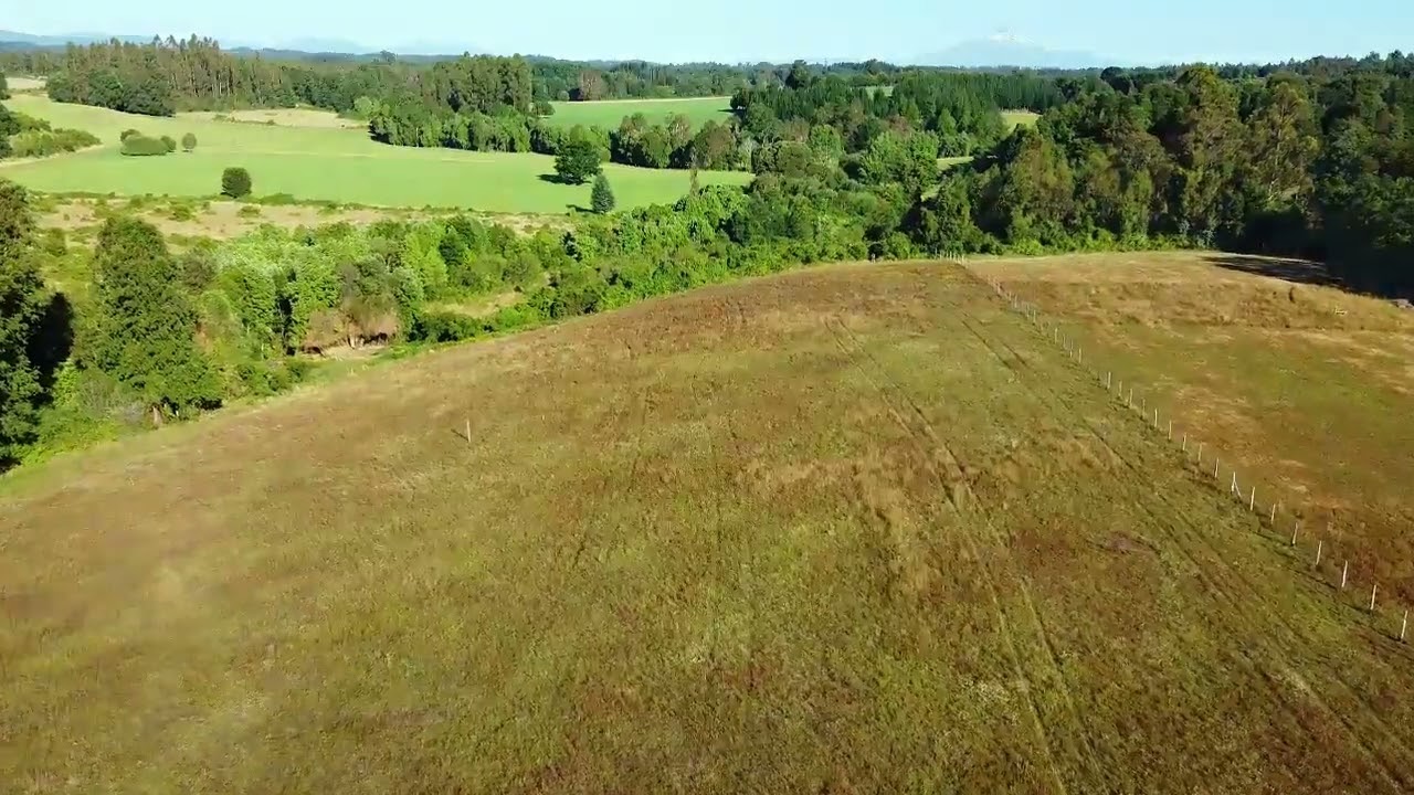 Se Vende Parcela de 1 Hectárea - Villarrica