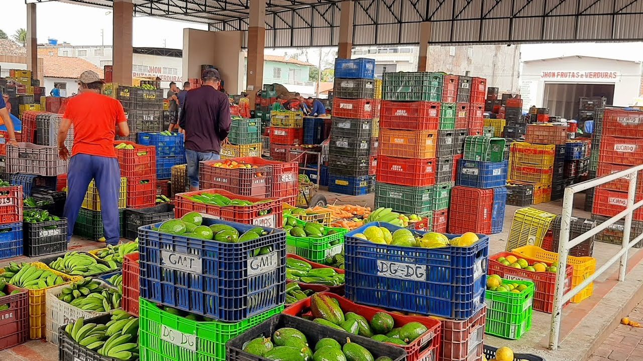 CEASA DE SAO BENEDITO CEARÁ FARTURA E PREÇO BOM 09/02/26