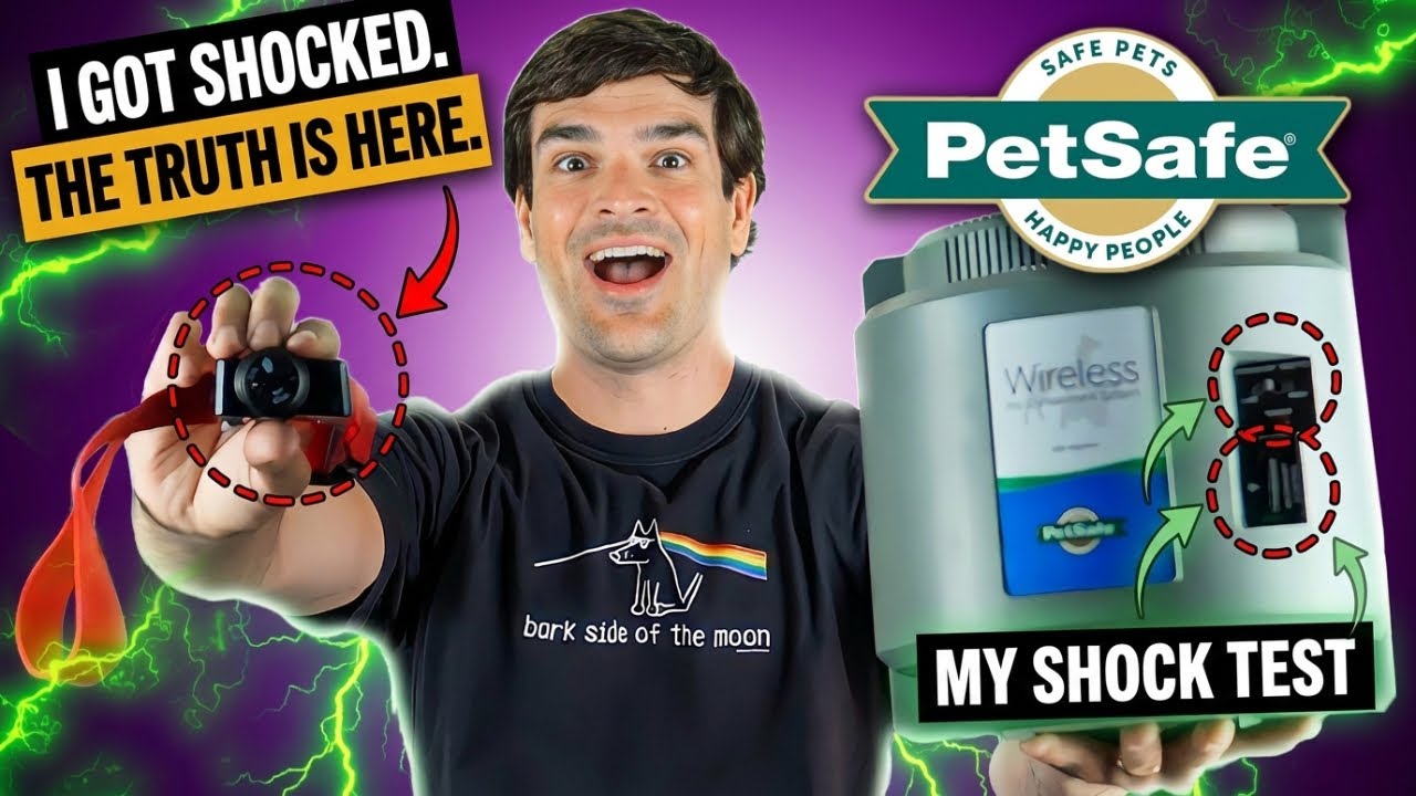 PetSafe Wireless Fence Reviews (Watch Me Get SHOCKED!)