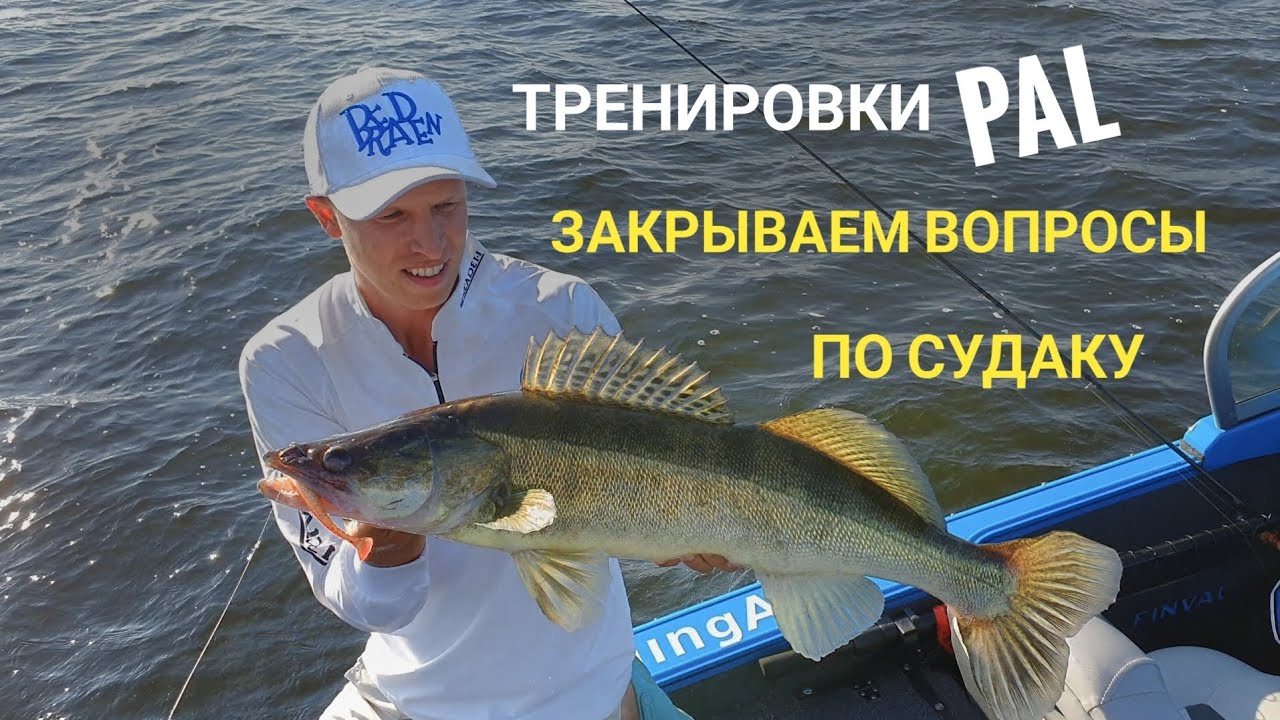 Команда SpinningArt приступила к тренировкам PAL. Разбираемся с судаком.
