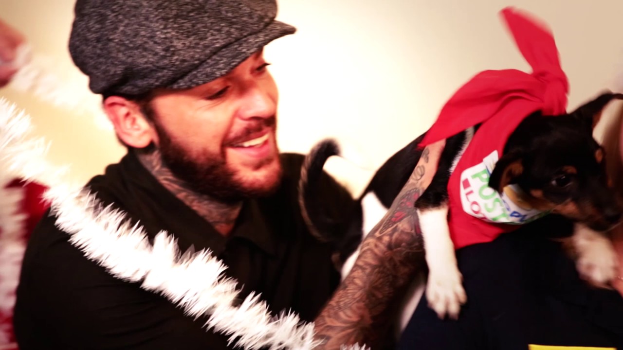 Pete Wicks brings Christmas cheer to Dogs Trust Basildon!