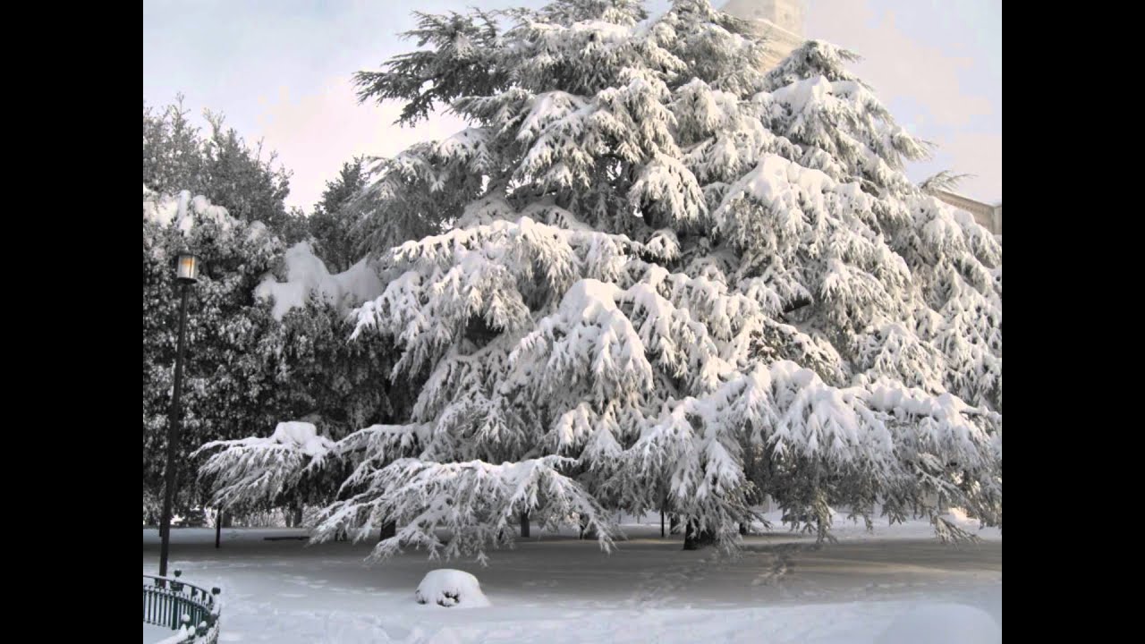 Fermo Marche nevicata 2012