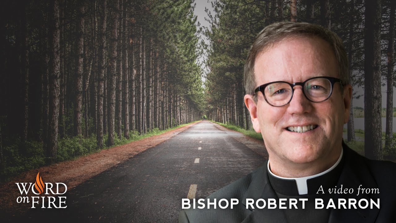 Bishop Barron on Morality, Character, and Relationships