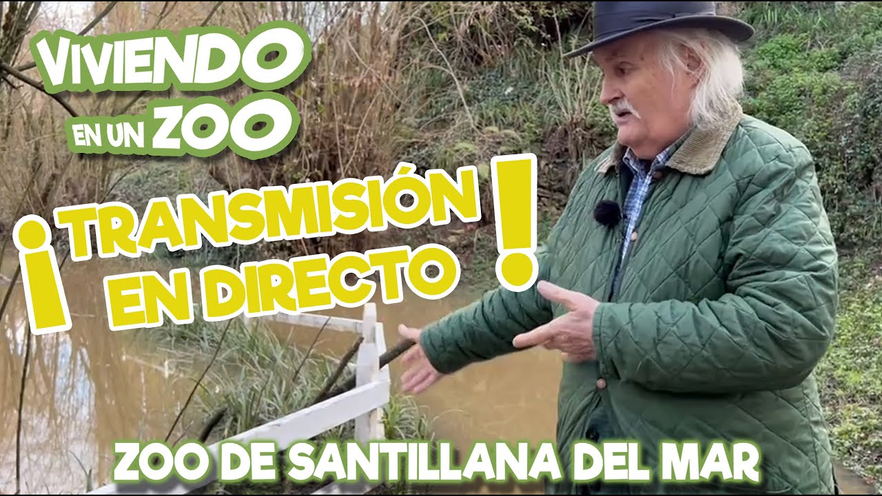 ¡Transmisión en directo!