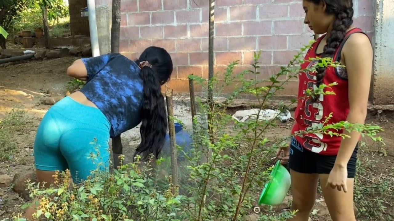 MAÑANIAMOS AREGAR LAS PLANTAS 🪴 Y ASI AMANECIERON 